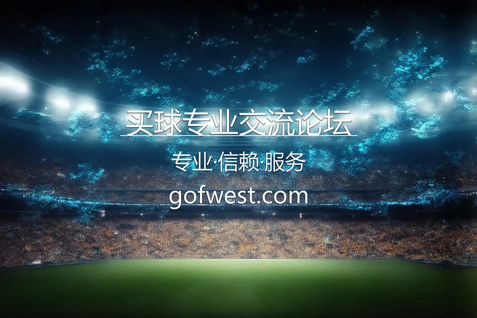 买球专业交流论坛